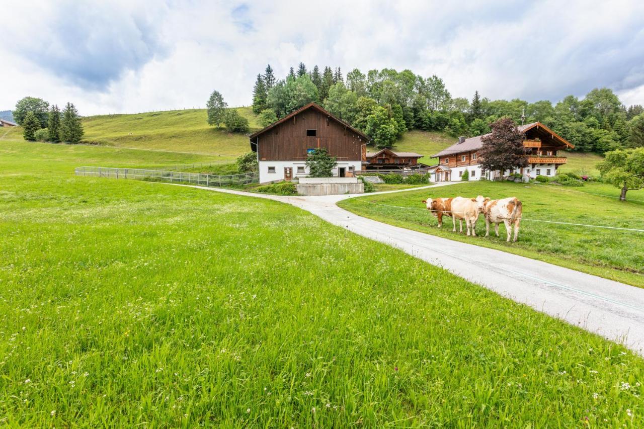 Ferienhaus Mittersill Am Biohof Widholz المظهر الخارجي الصورة
